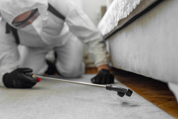 Professional Termite Control technician working in Marshfield, MO