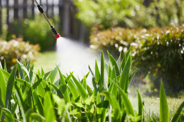 24/7 Emergency Termite Control experts in Marshfield, MO
