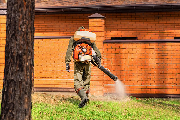 Top rated local Termite Control specialists in Marshfield, MO